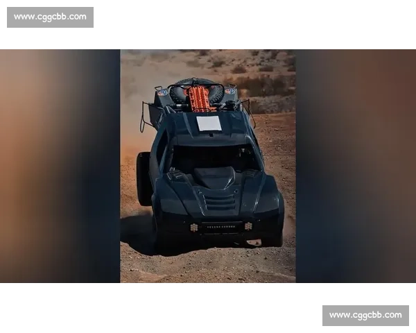 激烈挑战与速度争锋 拉力赛赛事背后的激情与技术解读 - 副本 (3)